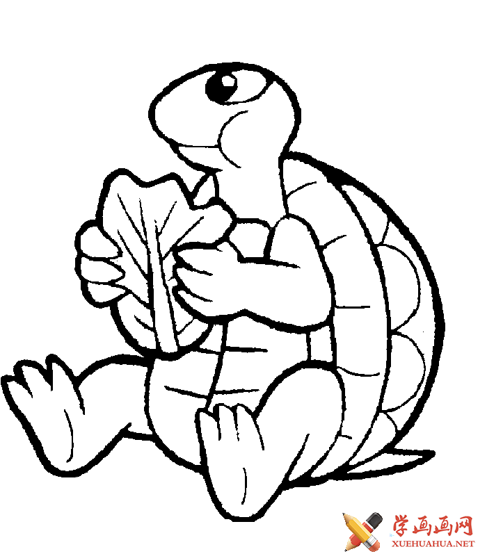 乌龟吃东西简笔画图片