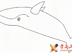 儿童学画画_鲸鱼简笔画图片大全