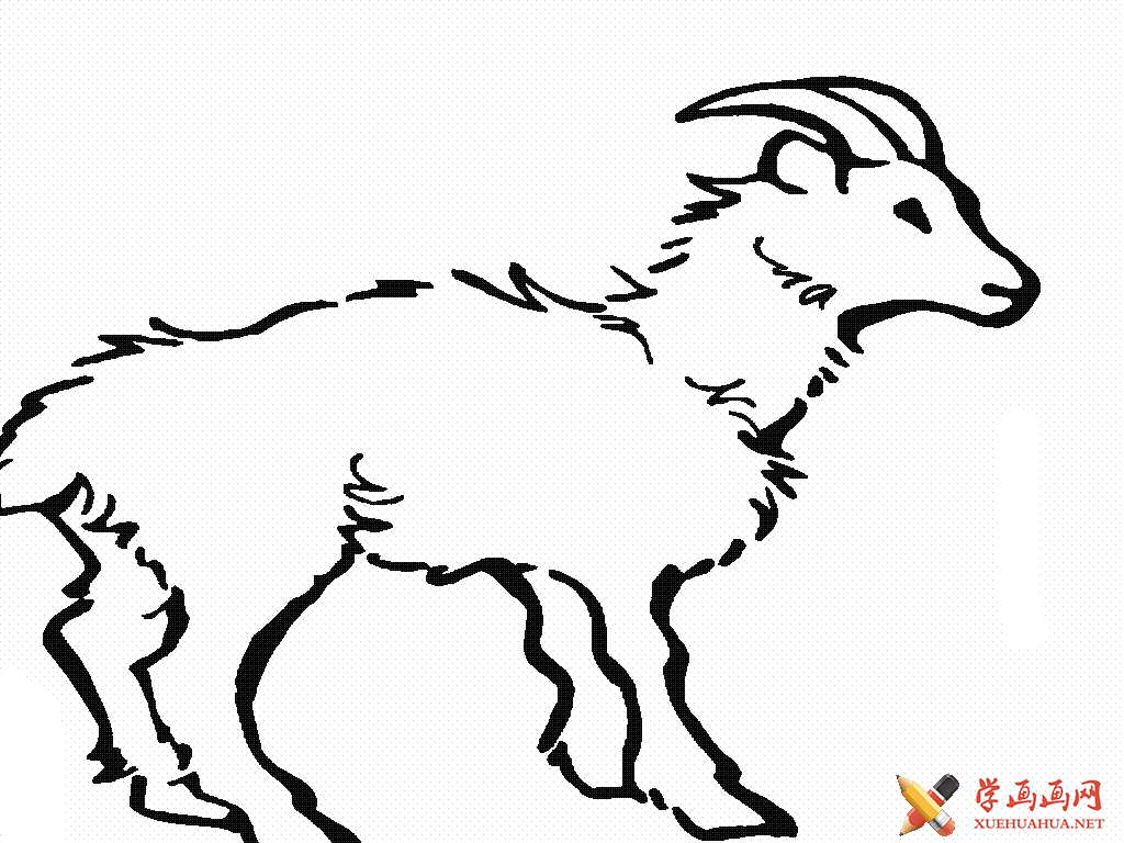 如何画动物简笔画 可爱的白山羊简笔画步骤图（鱼的画法简笔画图片大全） - 有点网 - 好手艺