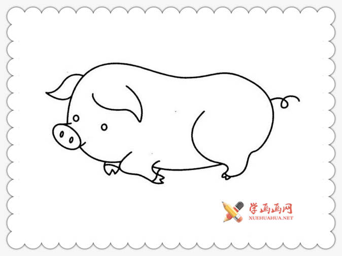 猪的简易画法图片
