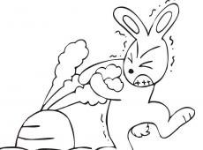 儿童简笔画大全 小兔子拔萝卜简笔画