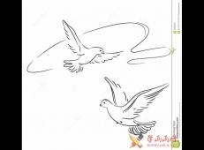 空中快乐飞舞的2只鸽子简笔画图片