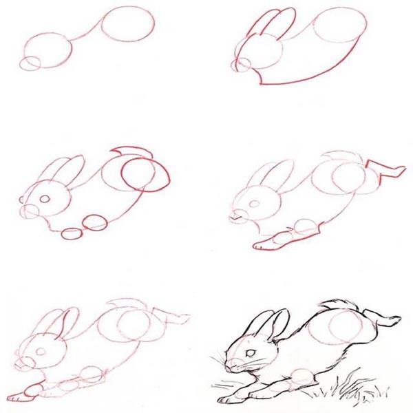 跳跃的兔子简笔画怎么画?