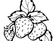 如何画草莓 草莓简笔画