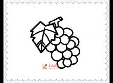 12幅关于葡萄的简笔画法图片