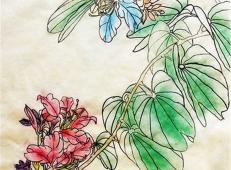 儿童画紫荆花图片，紫荆花中国画作品欣赏