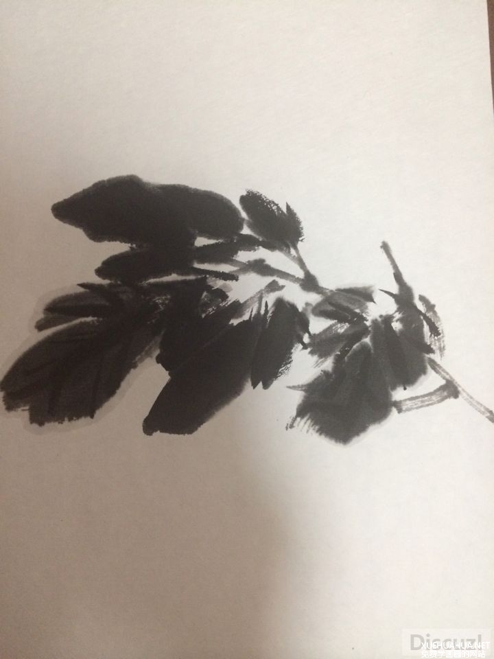 国画教程:牡丹叶子的画法