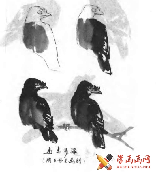 国画花鸟：八哥和麻雀的画法