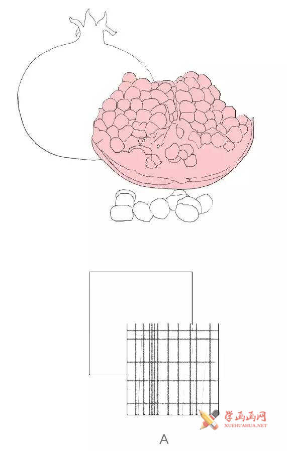 彩铅手绘教程_石榴的画法