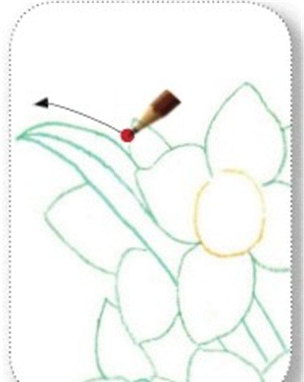 彩铅画：超逼真的水仙花步骤画法(图文)
