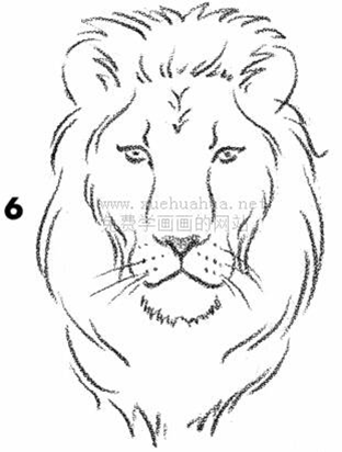 简单漫画教程：7步画一个威猛的雄狮头
