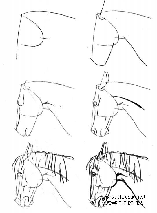 简单漫画技巧：马头的画法大全
