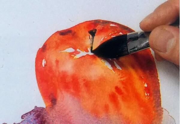 水粉画教程：诱人的红苹果画法解剖