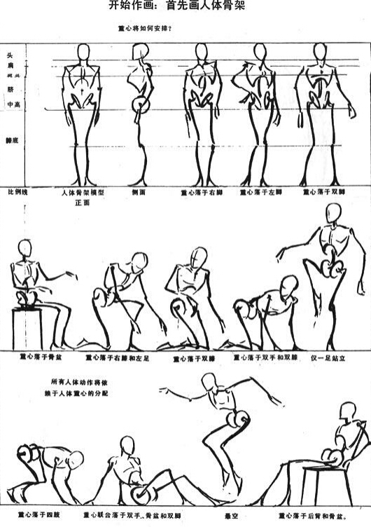 人体结构素描教程图片