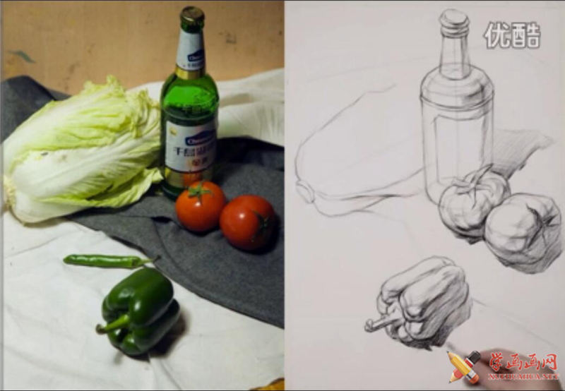 结构步骤素描教程：啤酒瓶、白菜、青椒、番茄的画法
