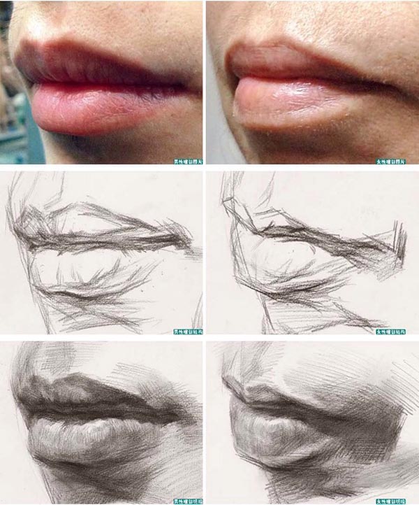 【素描教程】素描嘴唇的画法图解 素描嘴唇怎么画?