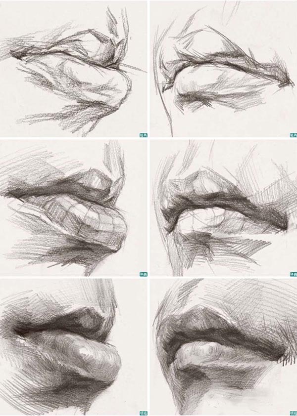 素描嘴唇的画法图解4