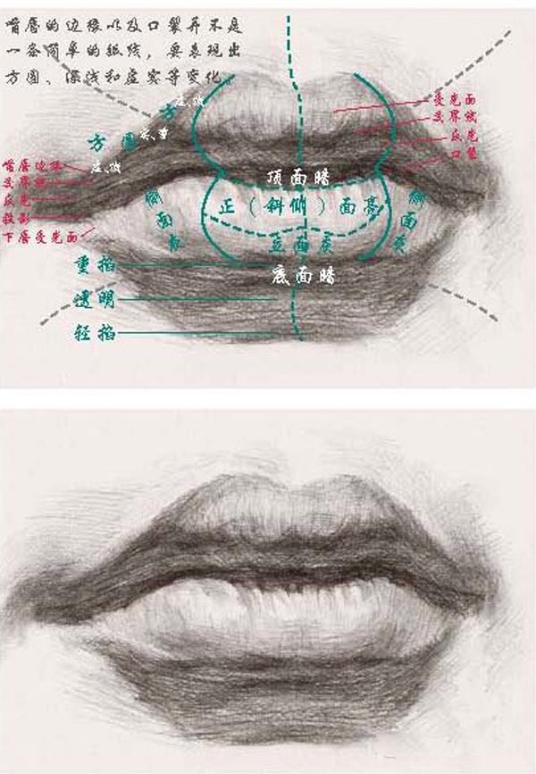 素描嘴唇的画法图解7