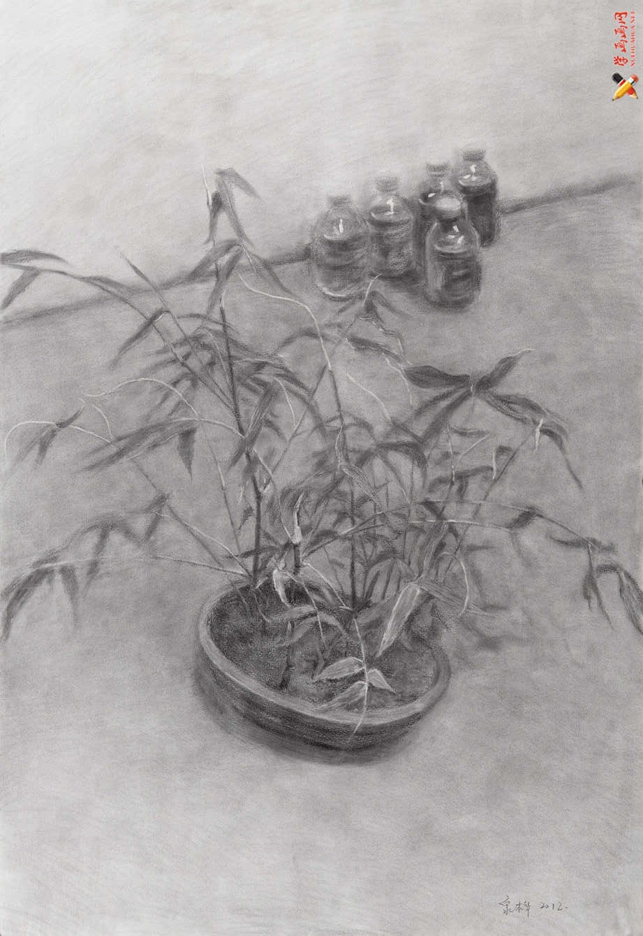 18幅素描静物范画图片