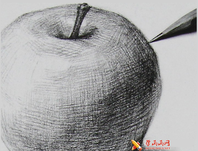 素描静物：苹果素描图解步骤教程