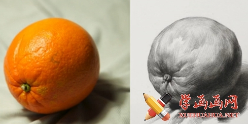 素描橘子 单个图片
