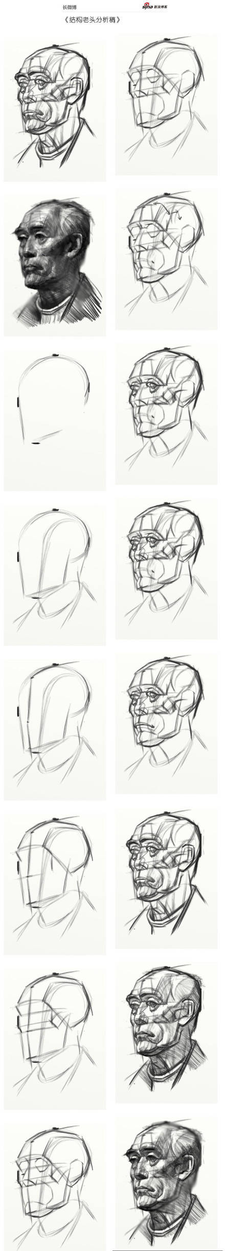 素描头像结构分析-步骤分解图