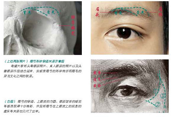 学画画教程:素描眼睛的画法