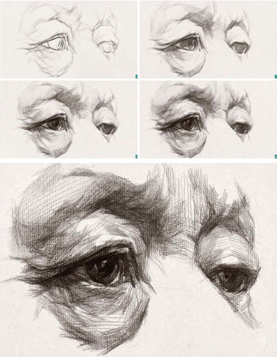 学画画教程:素描眼睛的画法