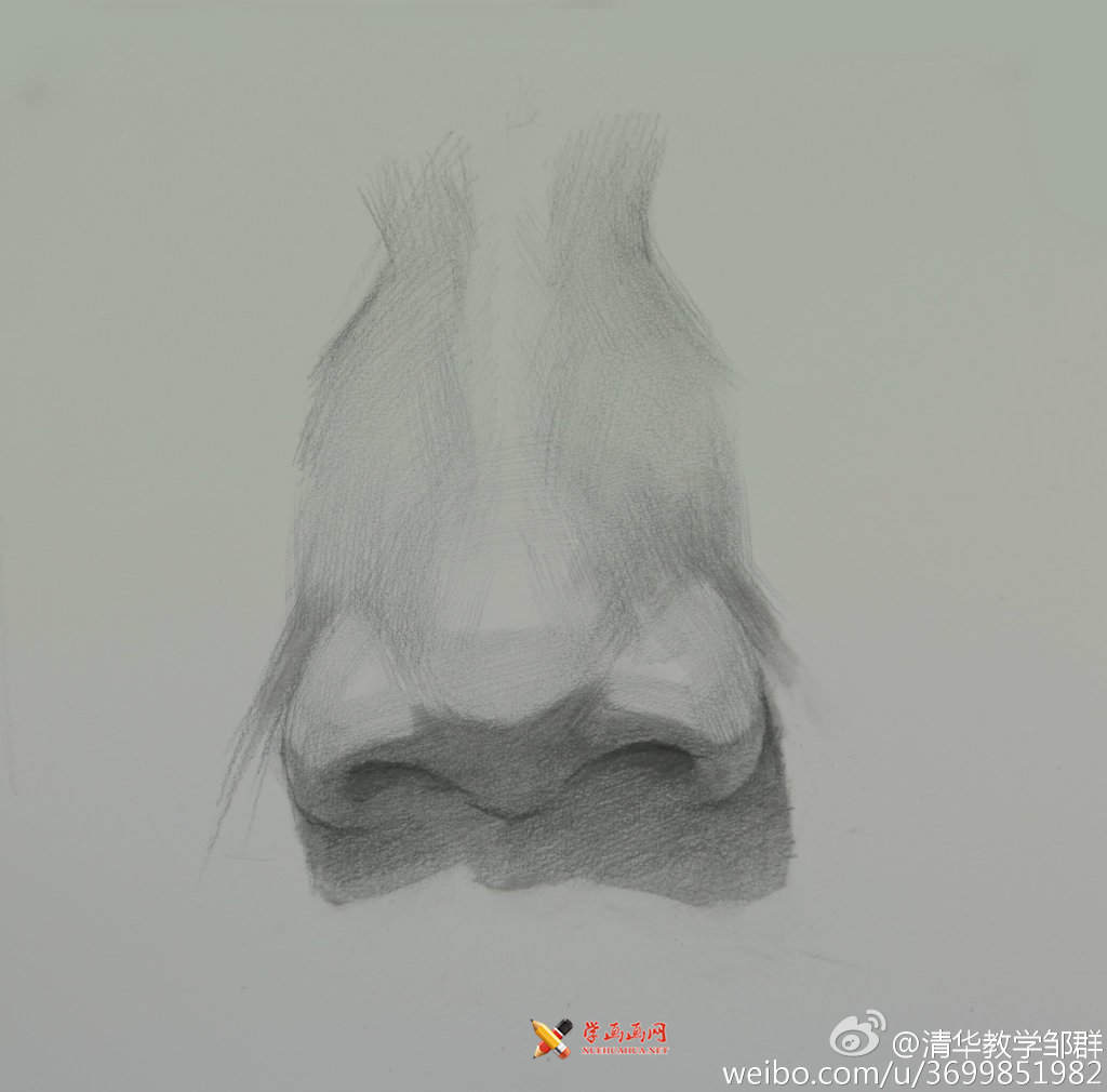 素描入门 素描头像鼻子的画法步骤讲解 - 知乎