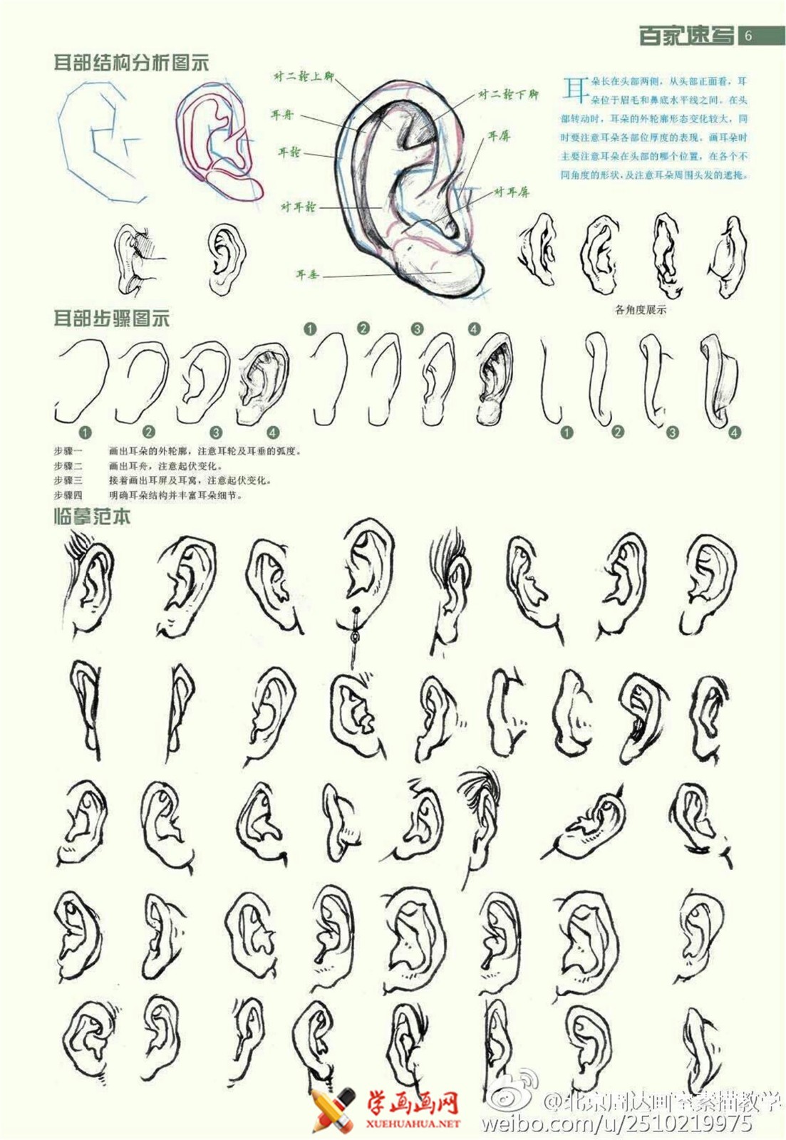 速写教程素材资料