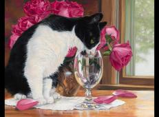 美国画家lucie bilodeau 猫咪油画作品欣赏