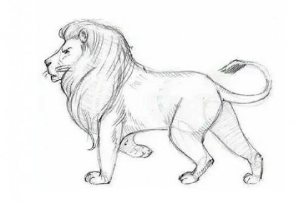 一张图教你雄伟狮子简笔画怎么画