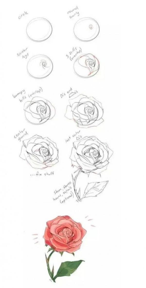 一张图教你红玫瑰花简笔画怎么画