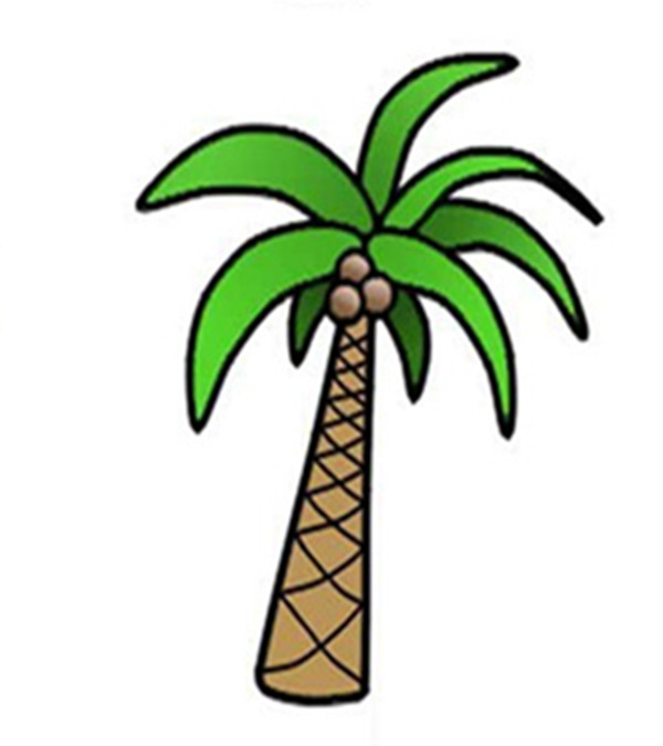 椰子树怎么画简笔画？