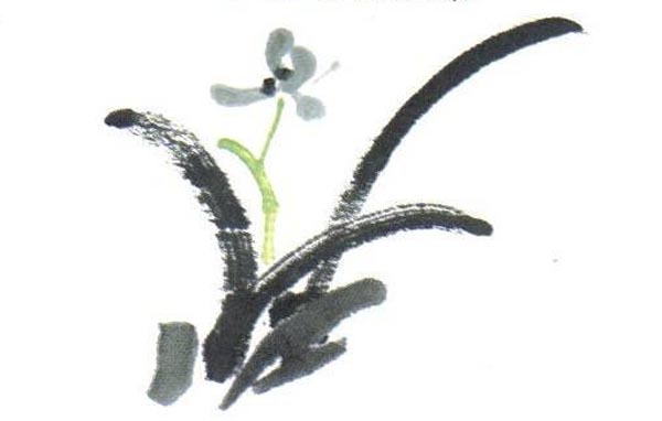 国画入门：最简单的国画兰花画法