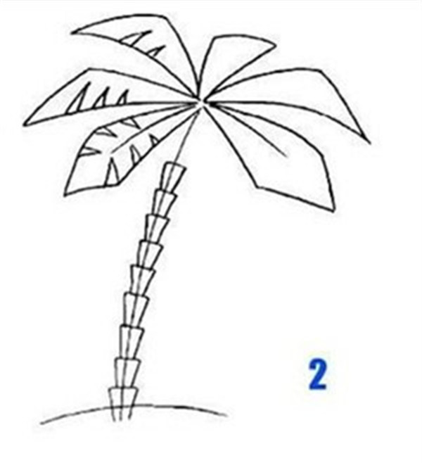 简笔椰子树一般怎么画?