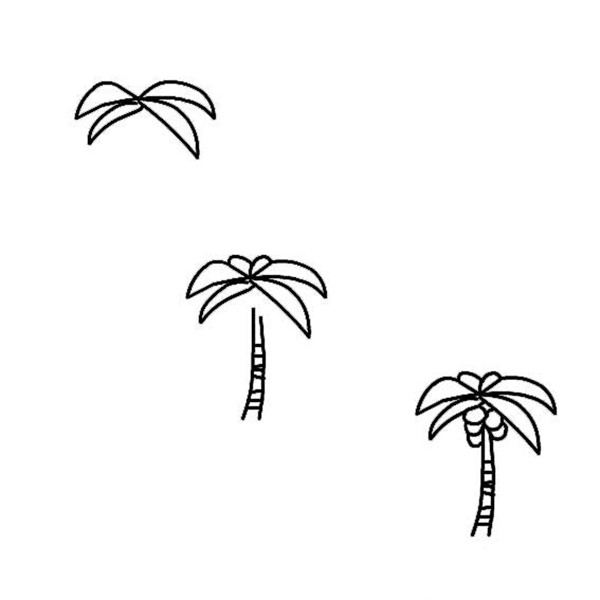 最简单的简笔椰子树怎么画？