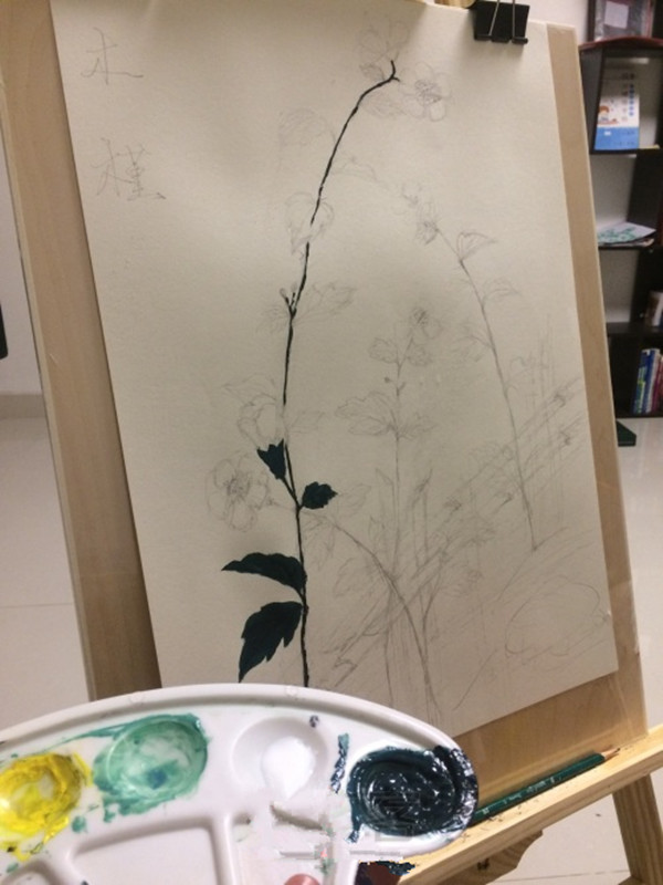 丙烯画简单花卉图步骤：木槿花的画法