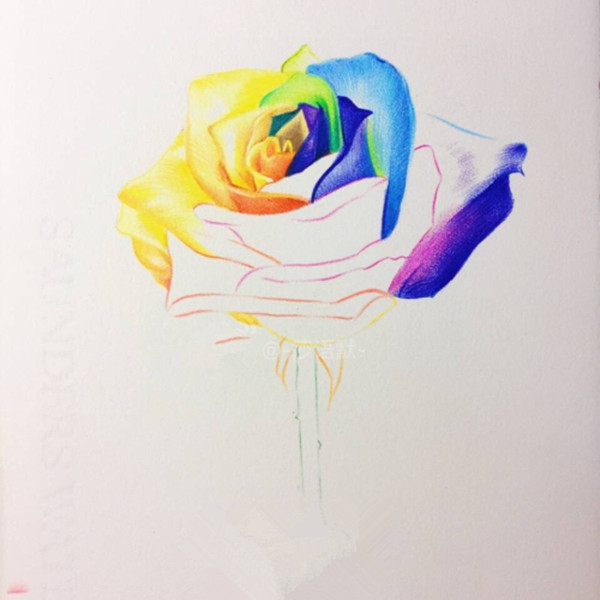 怎么画七彩玫瑰？彩铅玫瑰手绘图片教程