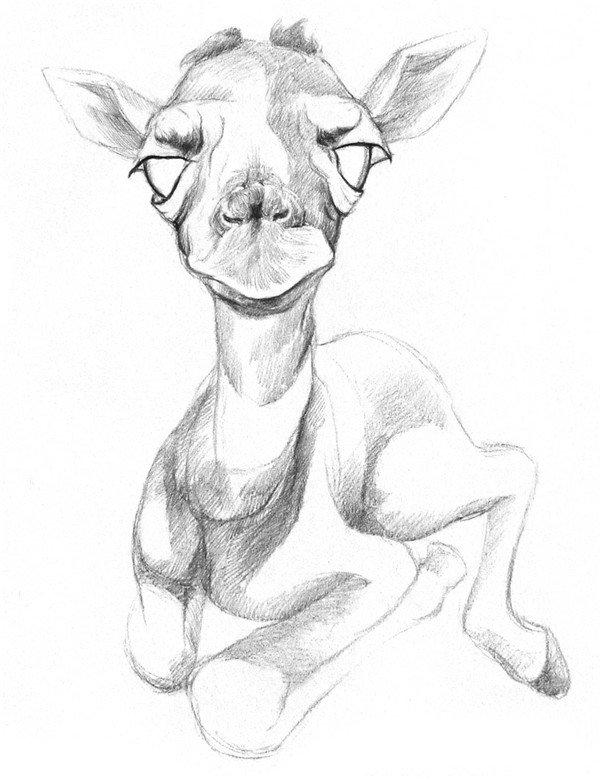 长颈鹿素描完整画法是什么？