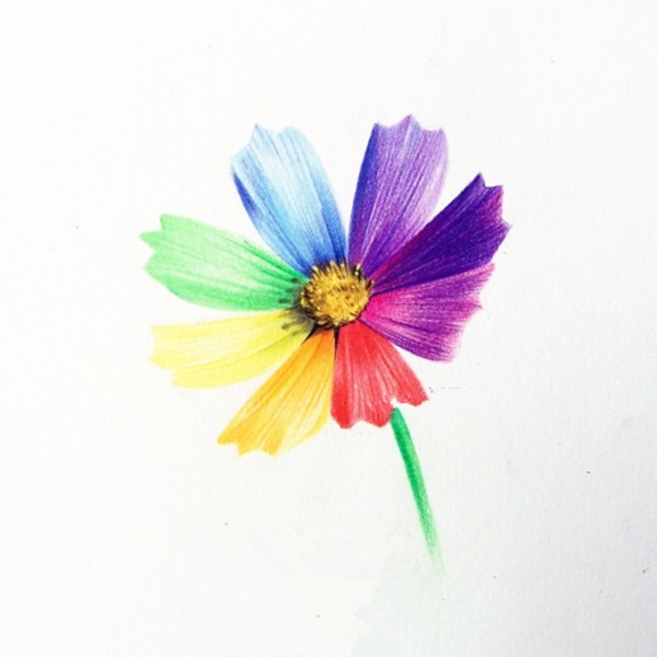 简单彩铅花朵教程图解：七色花的画法