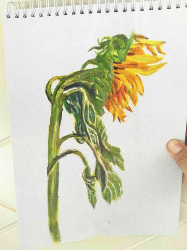 用丙烯画向日葵的教程