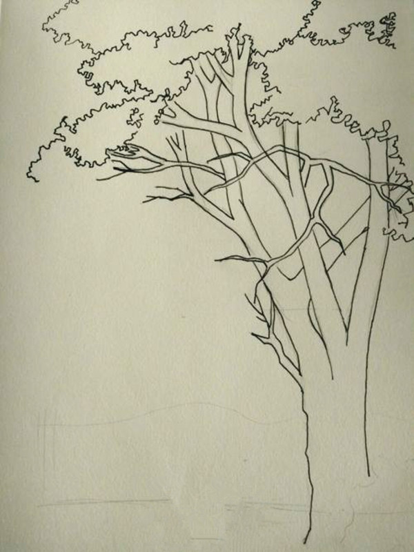 简单的钢笔画树的画法是什么