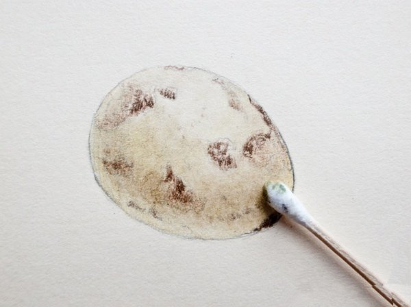 简单彩铅画教程图解：鹌鹑蛋的画法