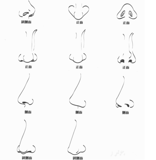漫画鼻子的画法
