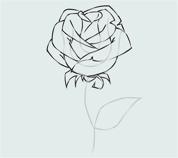 画一朵简单的玫瑰花
