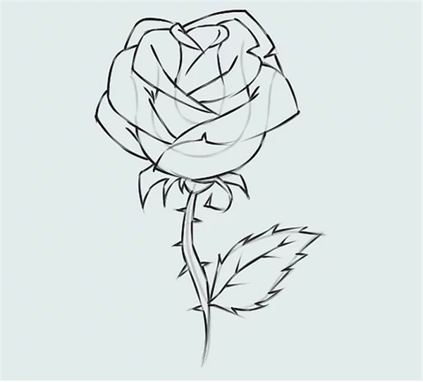 画一朵简单的玫瑰花