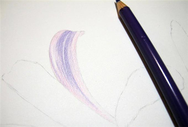 彩铅手绘花朵教程：换锦花的画法
