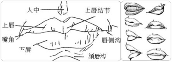 漫画人物嘴巴画法