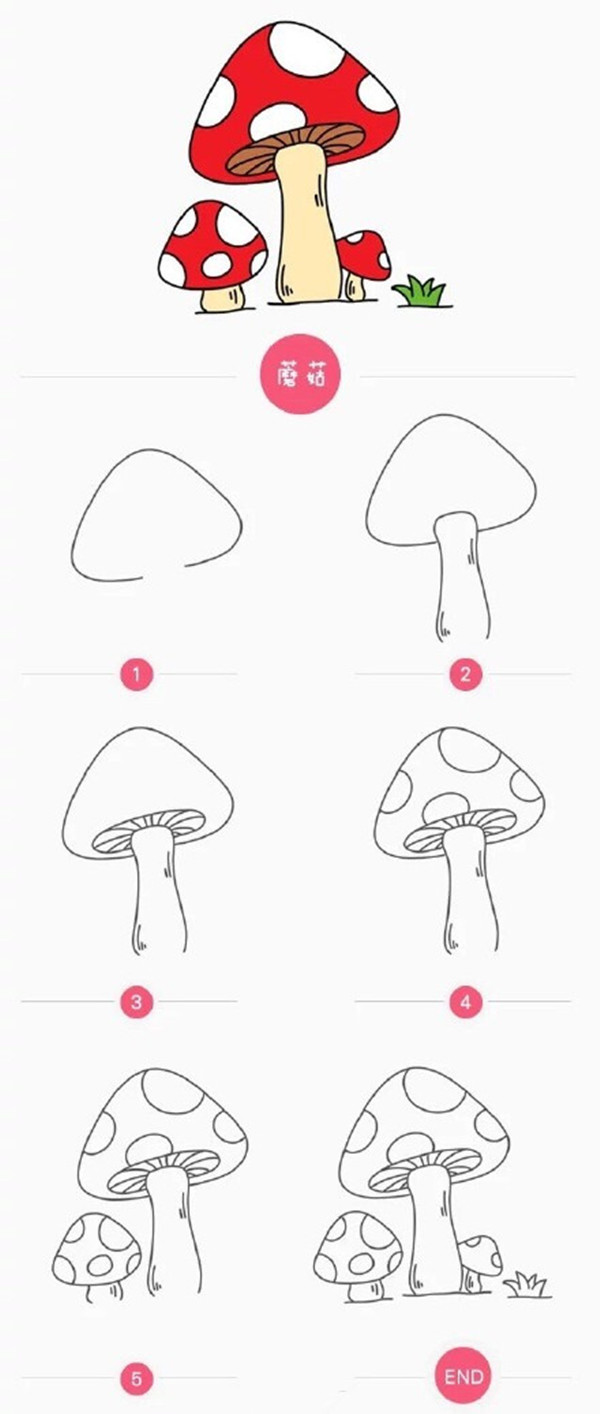 蘑菇的画法简笔画